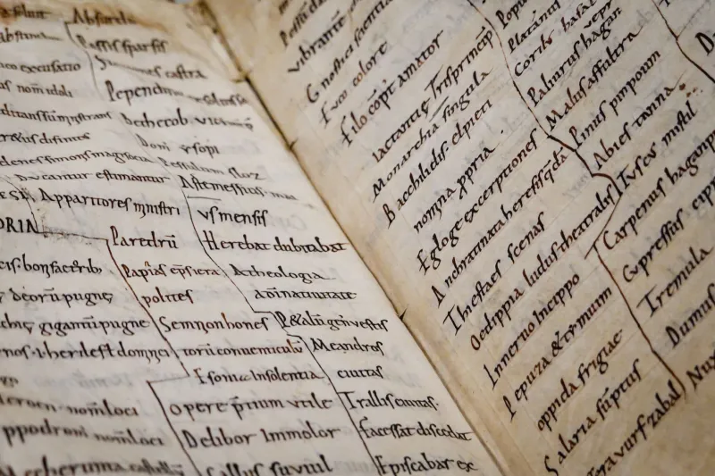 Verba Luxus: Come il Lessico Classico È Diventato la Nuova Grammatica dell'Alta Moda